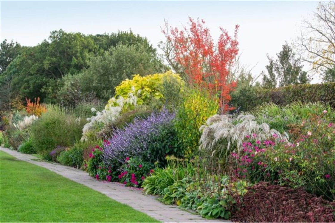 How to take care of your garden in Autumn